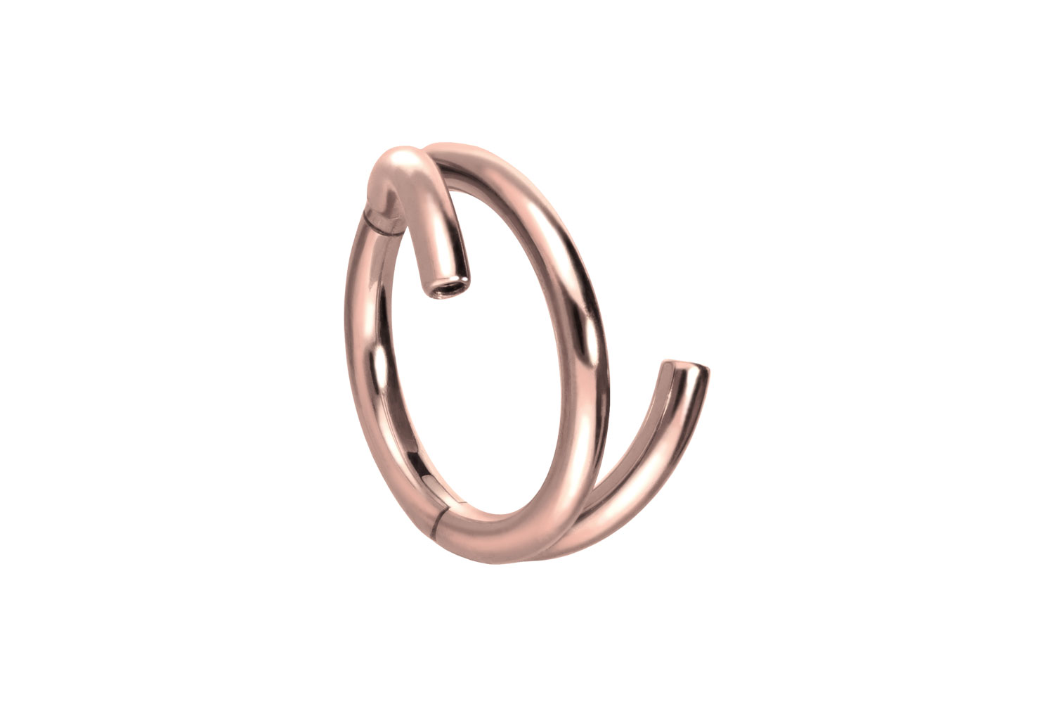 Titan Segmentring Clicker Piercing mit Innengewinde 3 RINGE